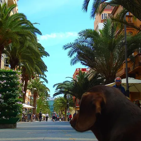 Apartamento Bonamar Blue Las Palmas de Gran Canaria